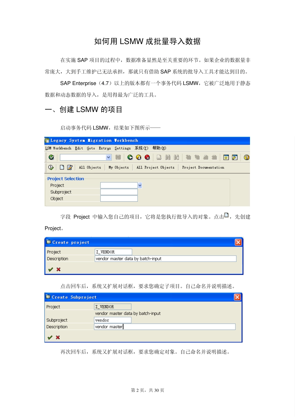 如何用LSMW成批量导入数据_第2页