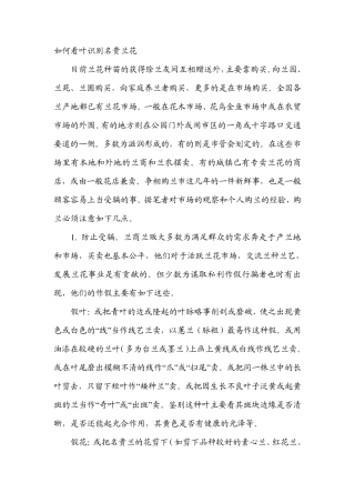 如何看叶识别名贵兰花