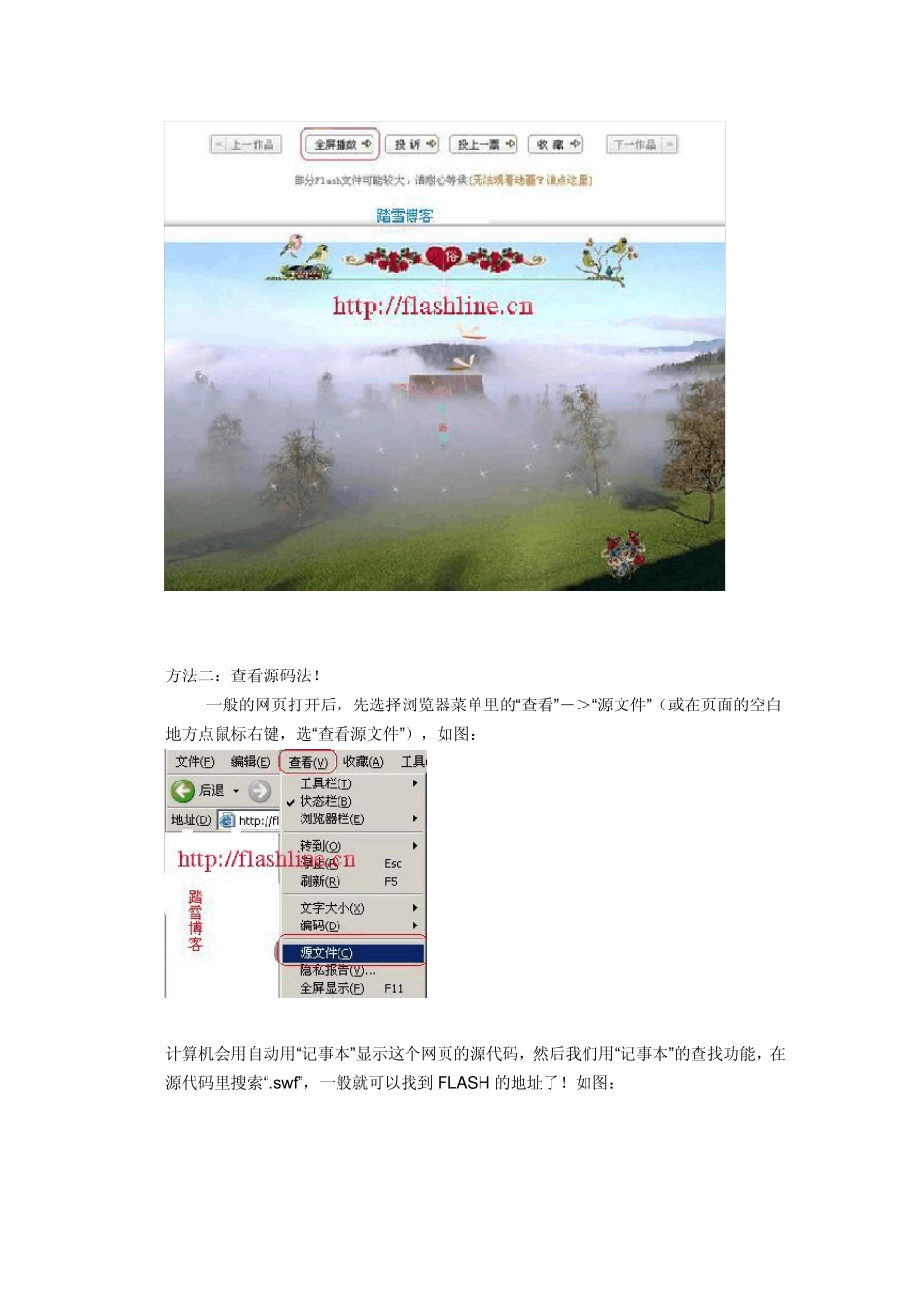 如何获取网页里的flash地址_第2页