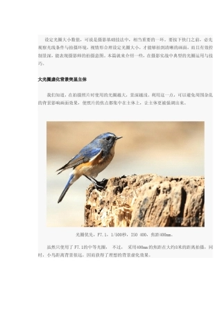 如何设定光圈大小各种拍摄主题的运用详解