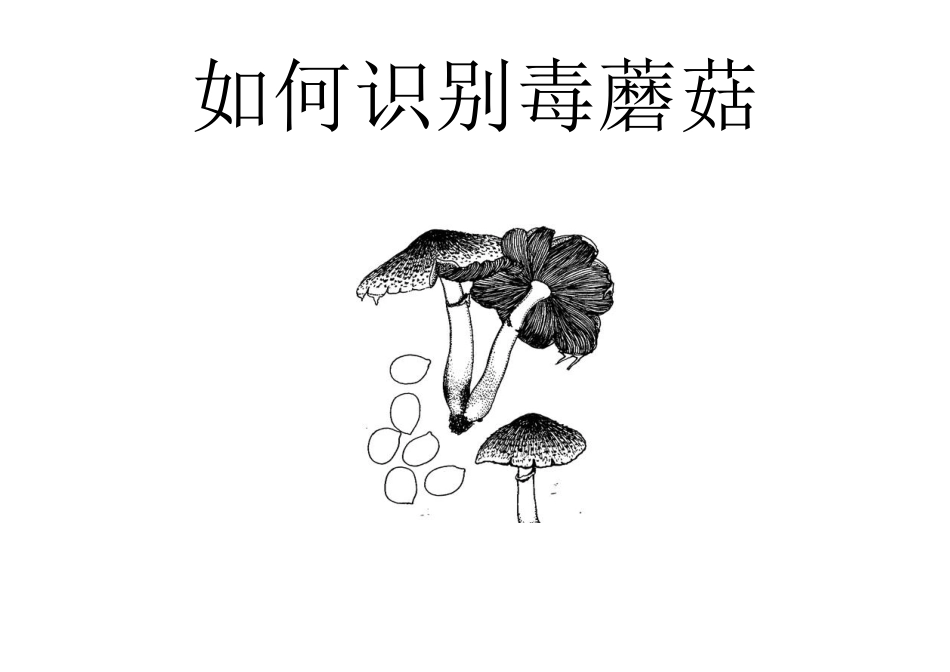 如何识别毒蘑菇_第1页