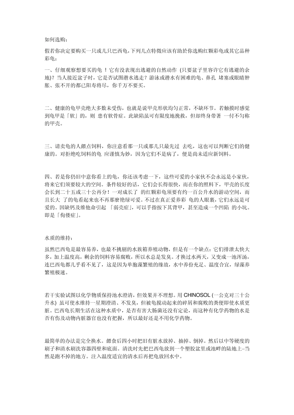 如何饲养乌龟_第1页