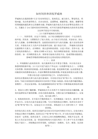 如何饲养和训练罗威纳