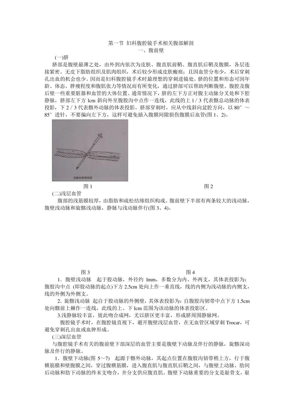 妇科腹腔镜手术相关腹部解剖_第1页