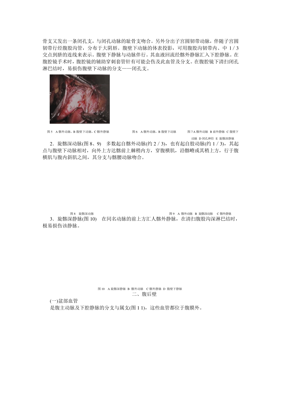 妇科腹腔镜手术相关腹部解剖_第2页