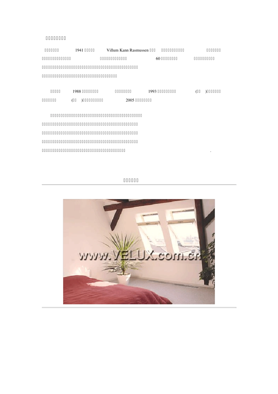威卢克斯斜屋顶窗_第1页