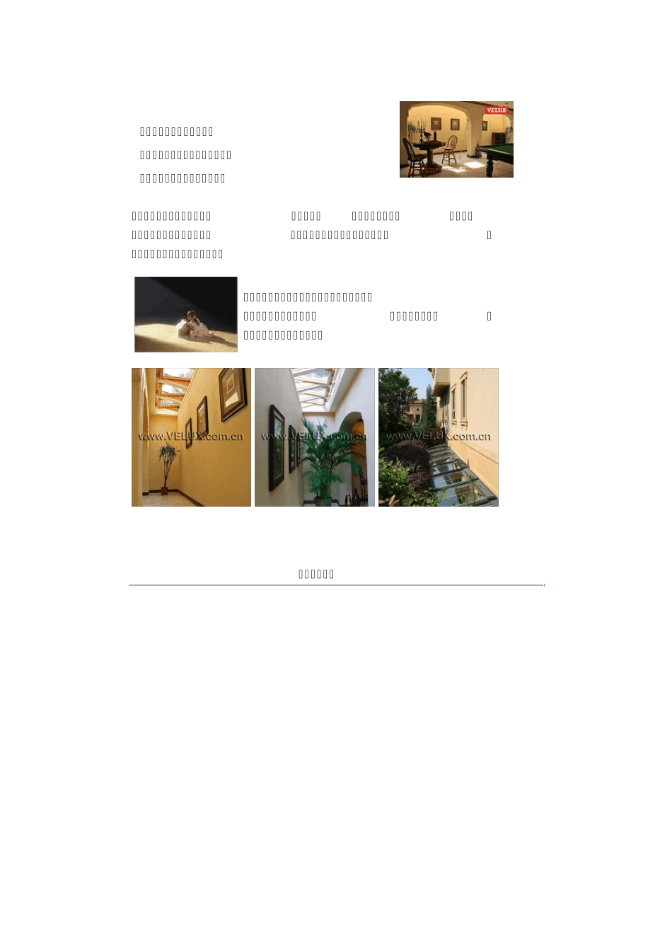 威卢克斯斜屋顶窗_第3页
