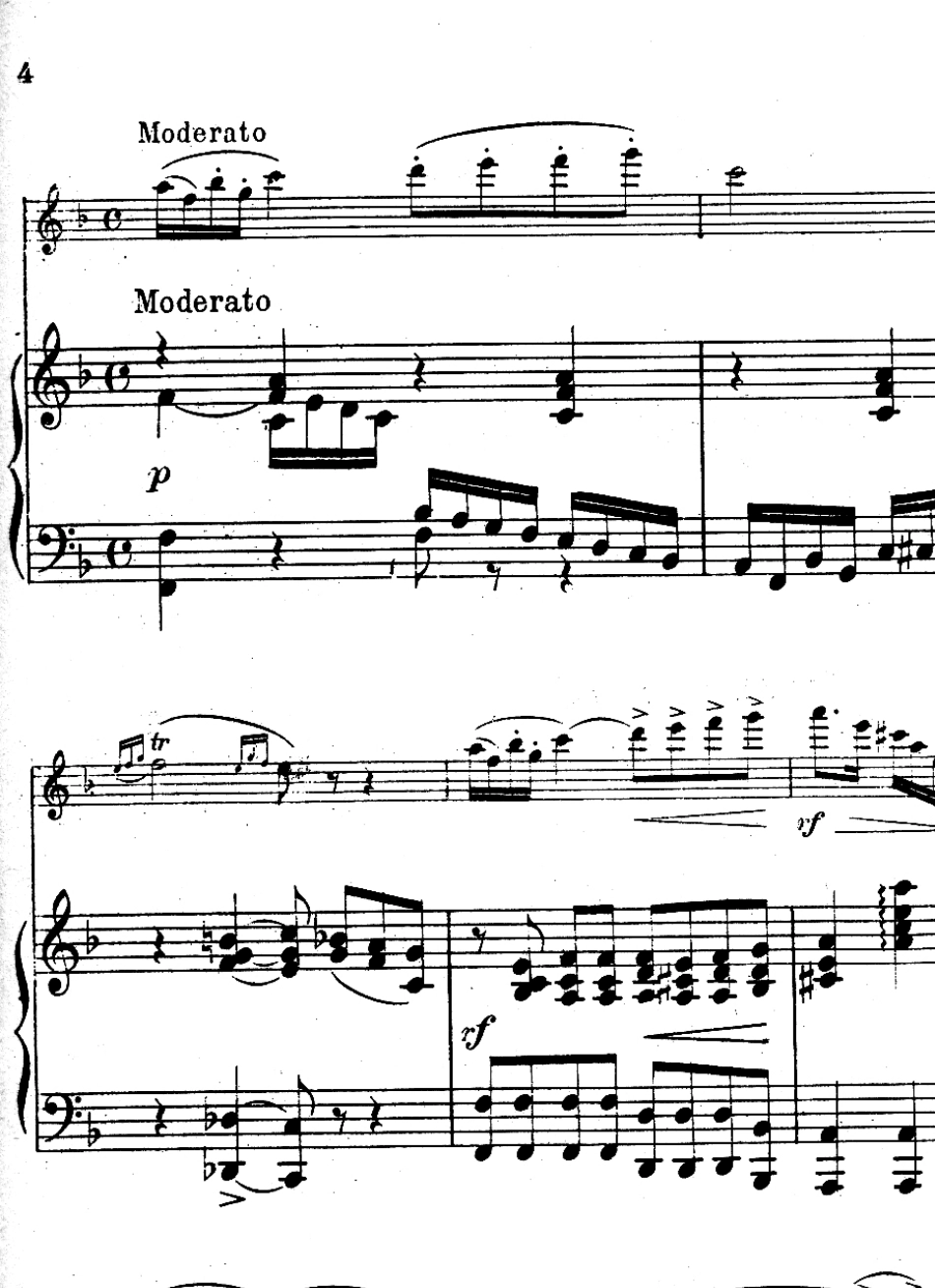 威尼斯狂欢节(长笛钢琴伴奏谱)PierreAgricolaGeninCarnavalDeVeniseforFlute_andPianoOp14_第3页