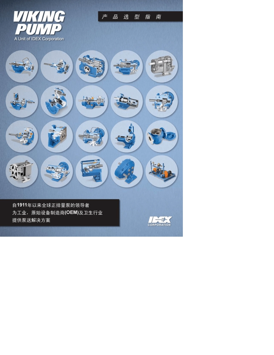 威肯齿轮泵中文样本_第1页