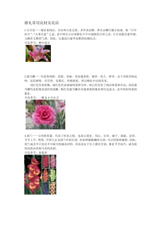 婚礼常用花材及花语(普菲特整理)