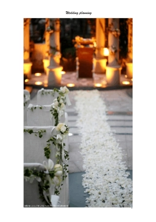 婚礼策划创业计划书