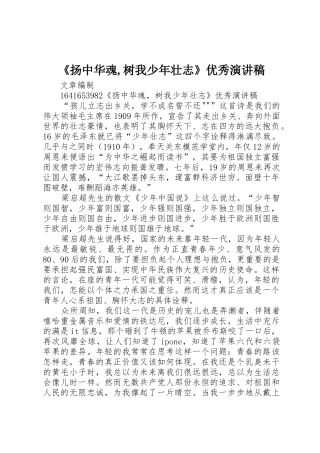《扬中华魂,树我少年壮志》优秀演讲稿