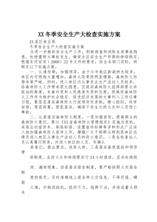 XX冬季安全生产大检查实施方案_1