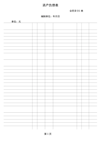 民间非营利组织财务报表