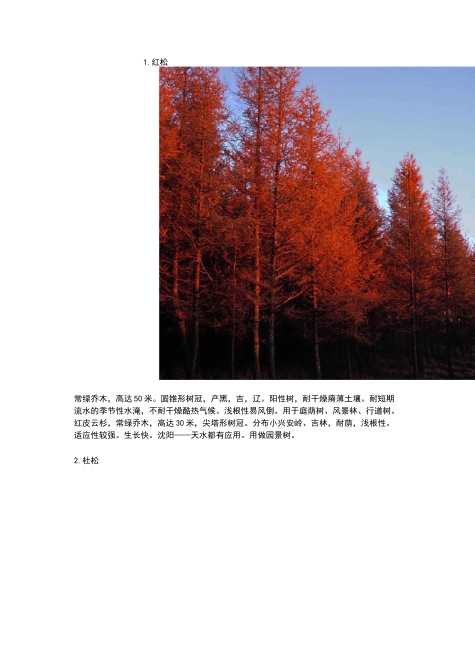 东北常用的30种景观植物_第1页