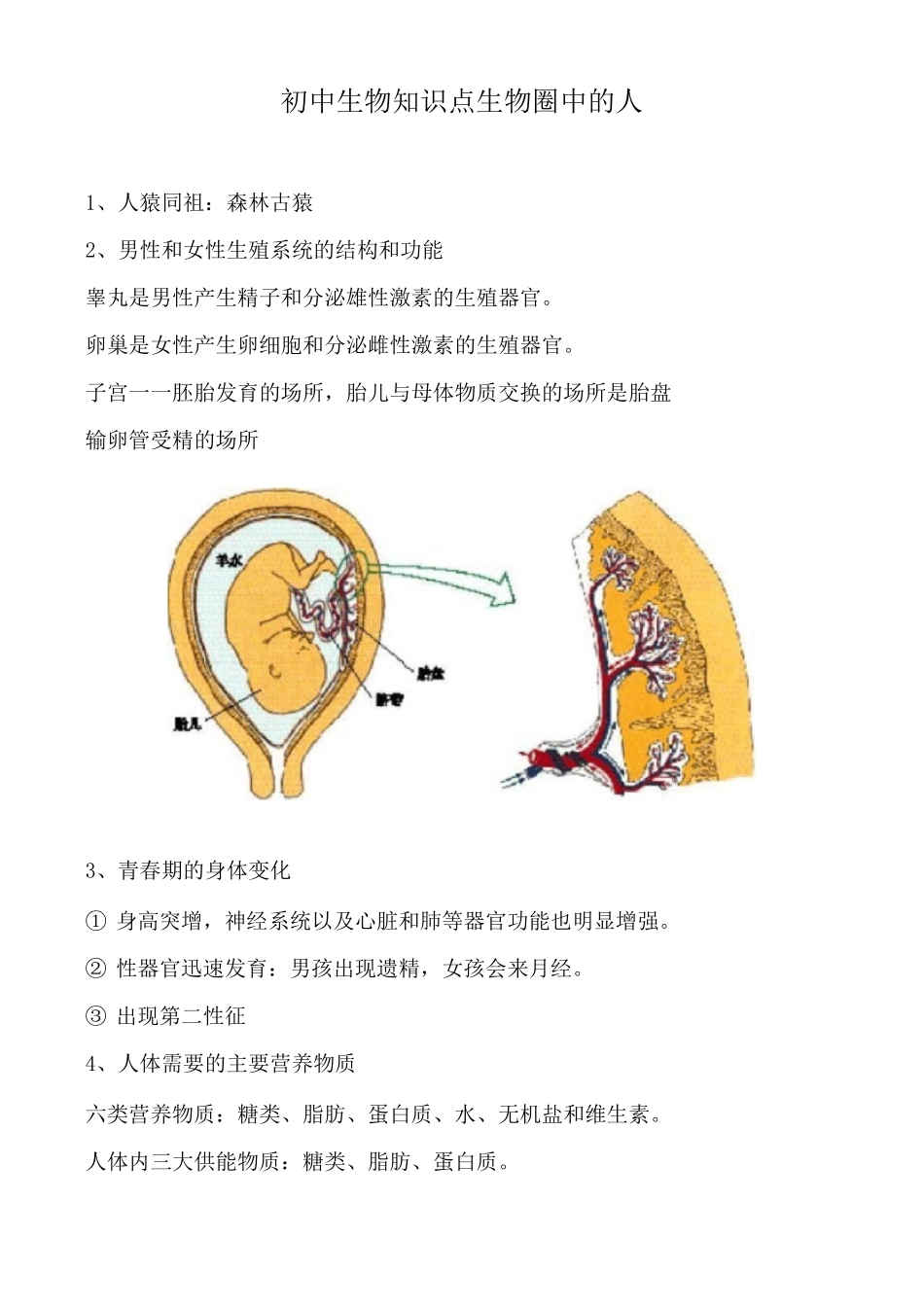 初中生物知识点生物圈中的人_第1页