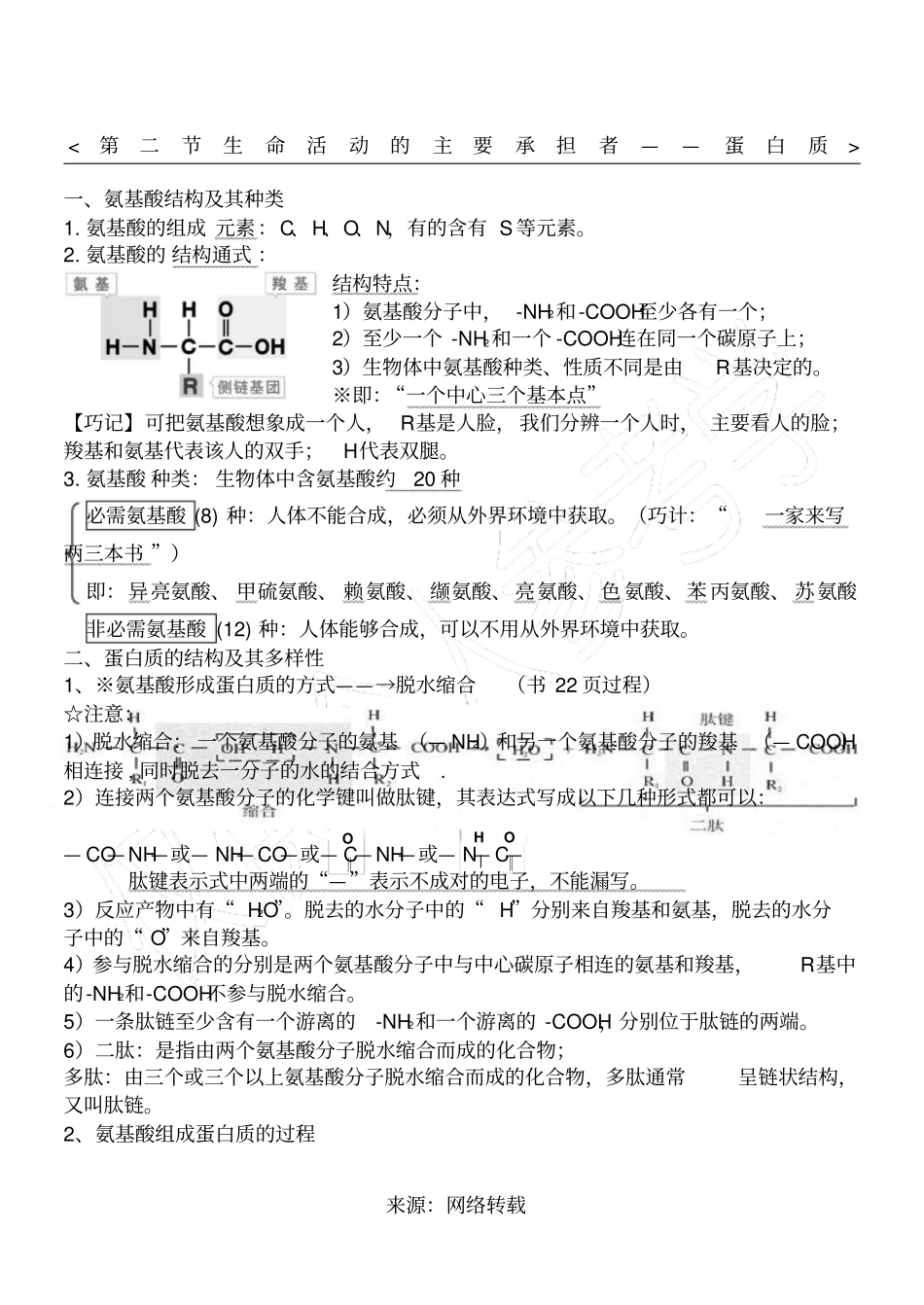 生命活动的主要承担者—蛋白质知识点总结_第1页