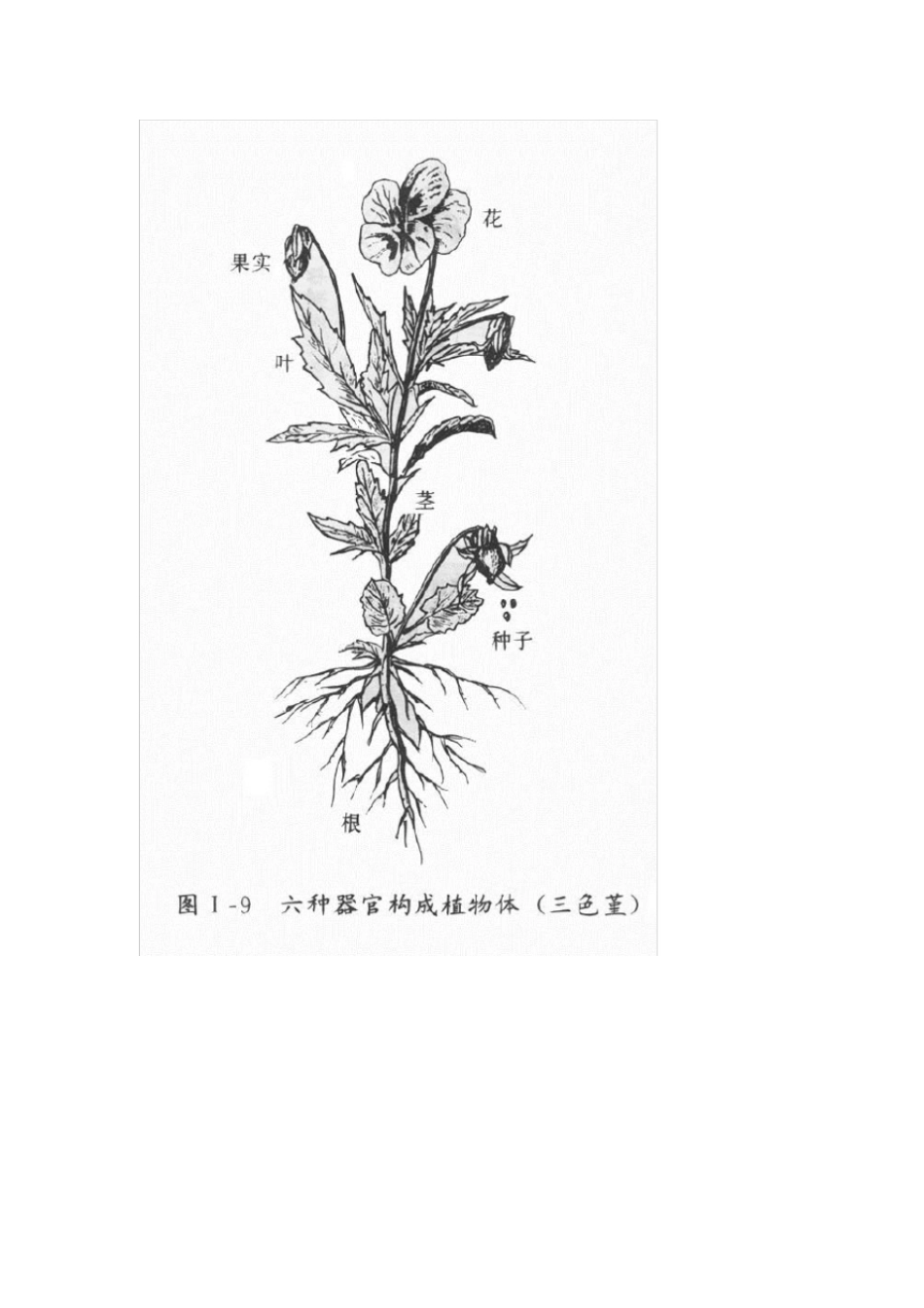 生命科学基础知识_第2页
