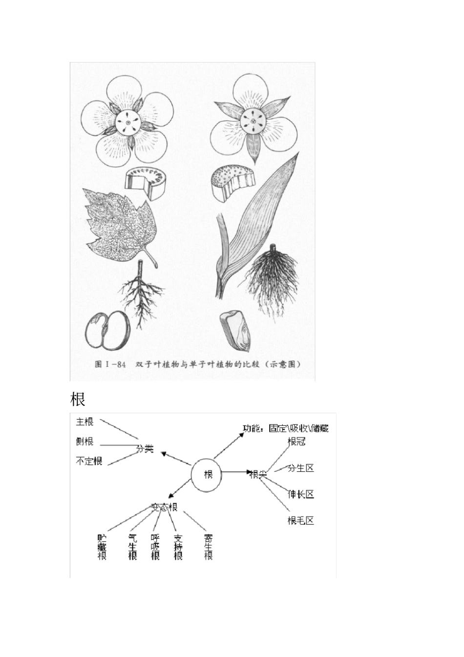 生命科学基础知识_第3页