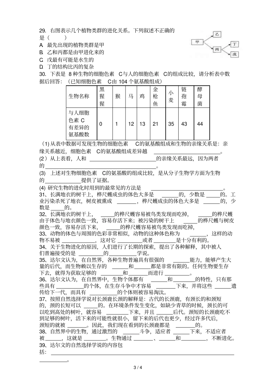 生命起源和生物进化练测验_第3页