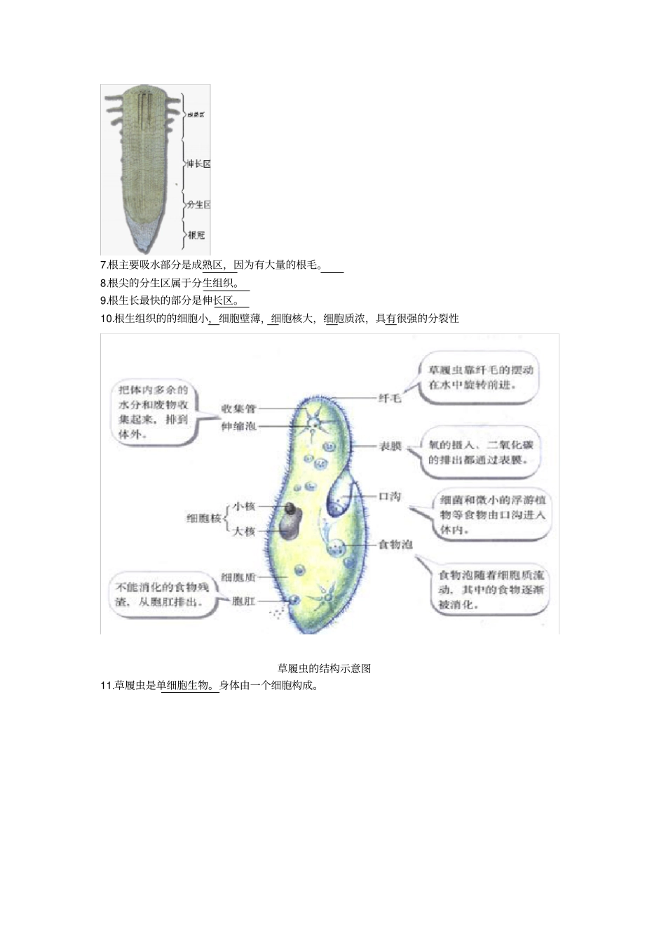 生地会考精编_第2页