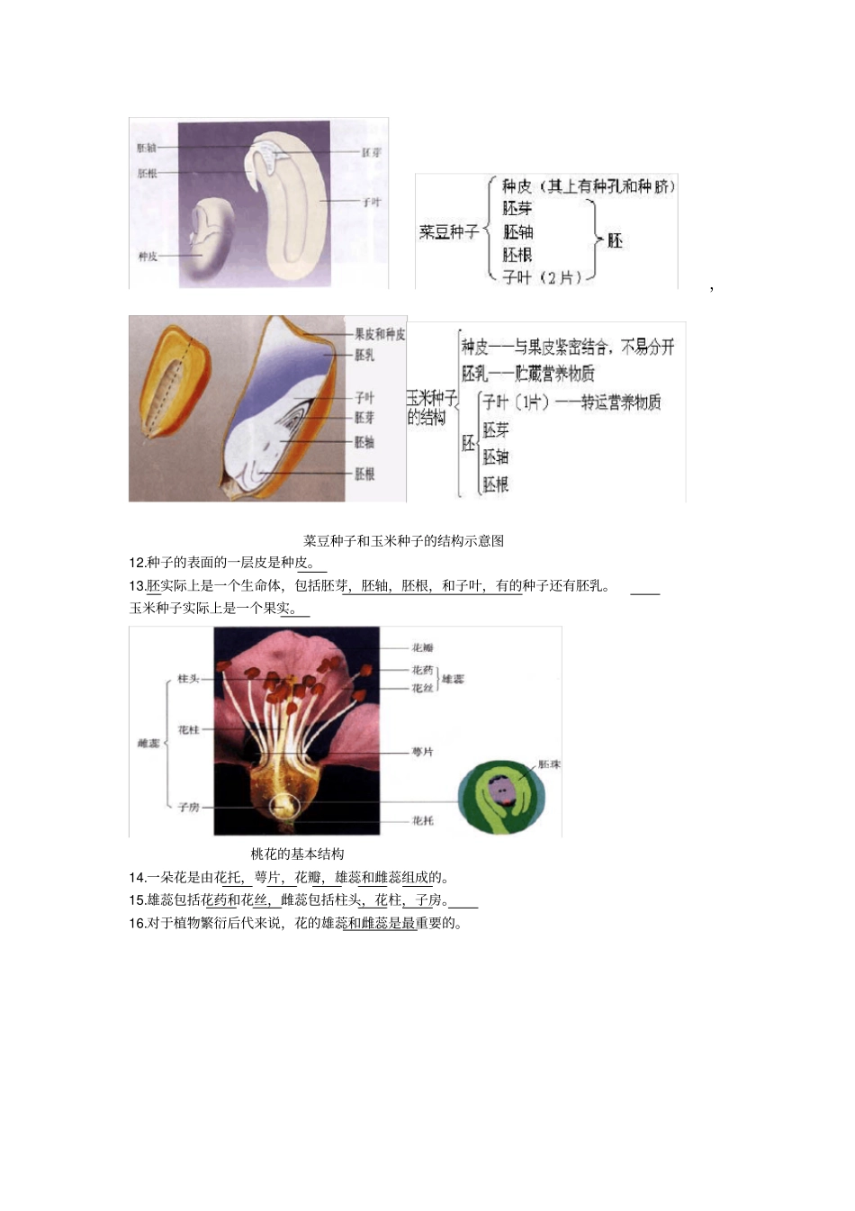 生地会考精编_第3页