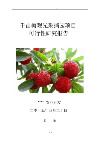 生态杨梅综合开发项目可行性方案研究报告