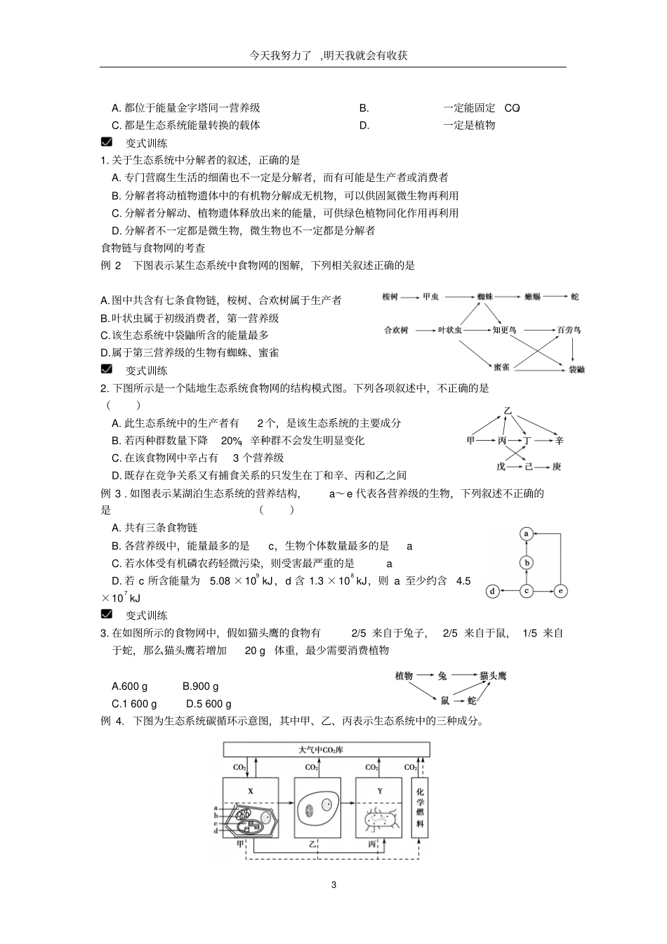 生态系统与生态环境专题复习_第3页