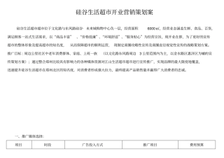 生活超开业营销策划案