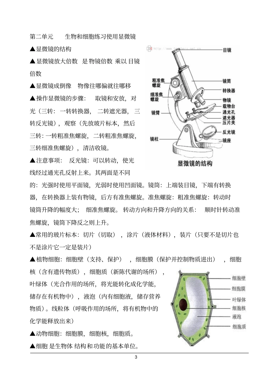 生物七年级上册期中考试生物提纲汇总_第3页