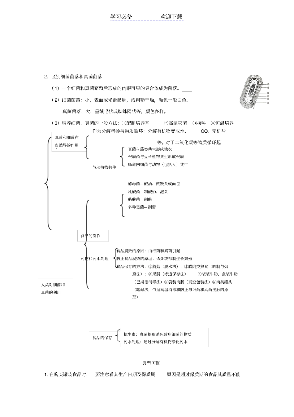 生物中考专题复习细菌和真菌_第2页