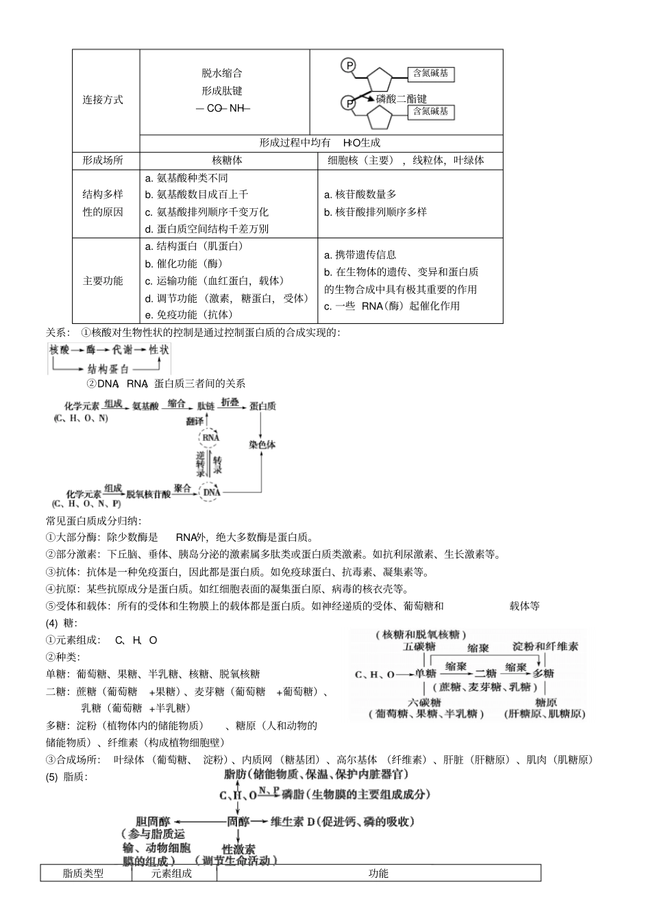 生物二轮复习知识点总结—专题一_第2页