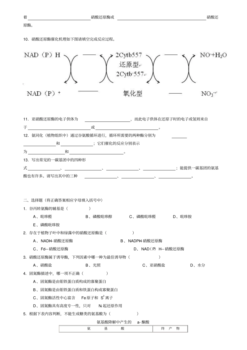 生物化学考试库及其答案——蛋白质降解和氨基酸代谢_第2页