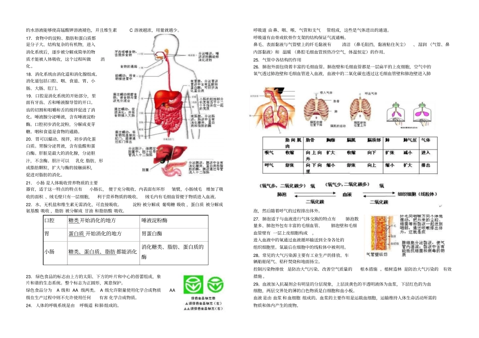 生物圈中的人复习知识点_第2页