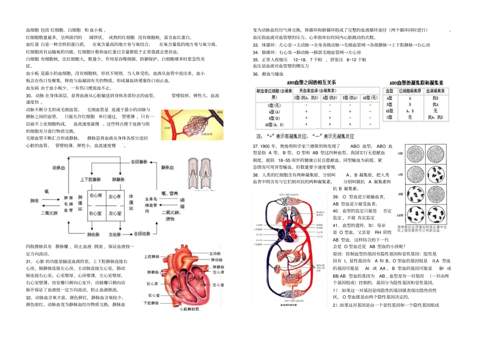 生物圈中的人复习知识点_第3页