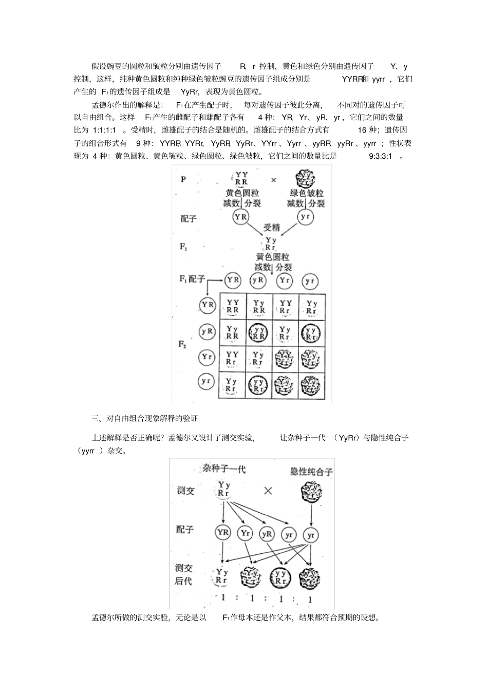 生物孟德尔的豌豆杂交试验二课本知识点_第2页