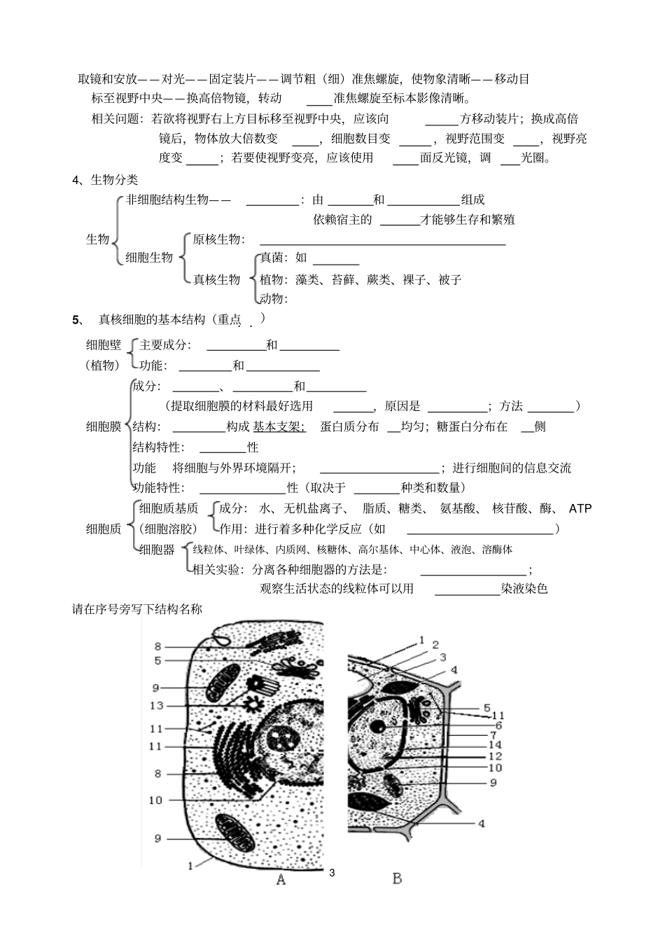 生物必修1基础知识复习汇总_第3页