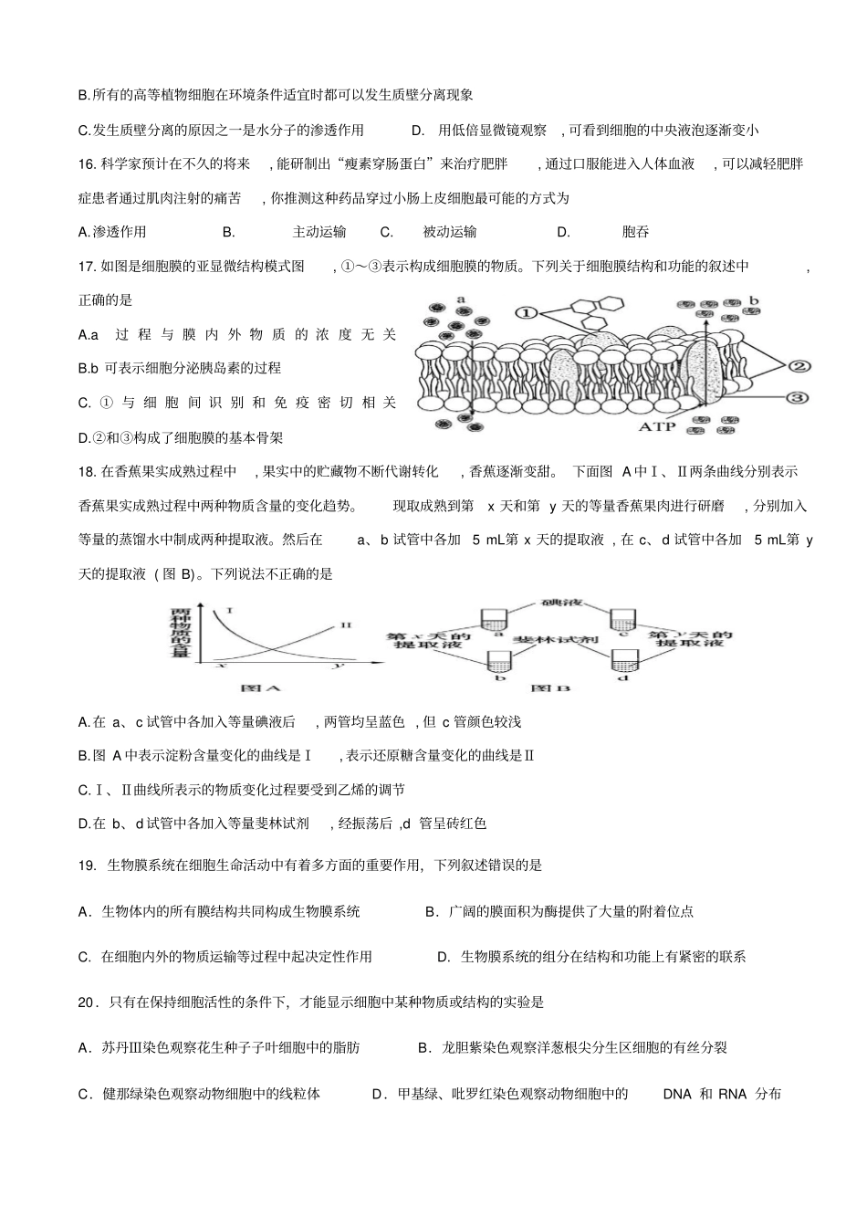 生物必修一-5章试卷汇总_第3页