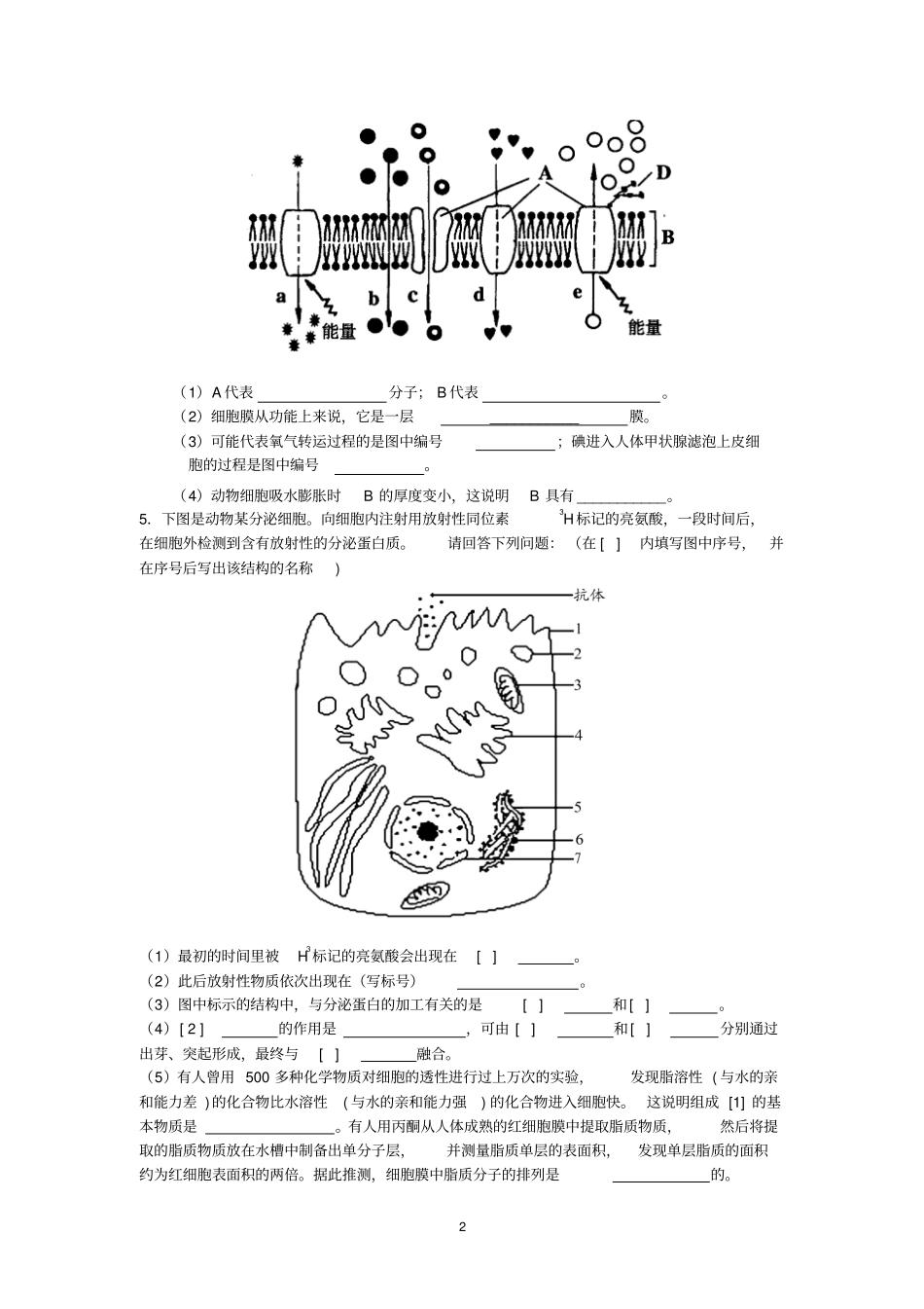 生物必修一非选择题_第2页