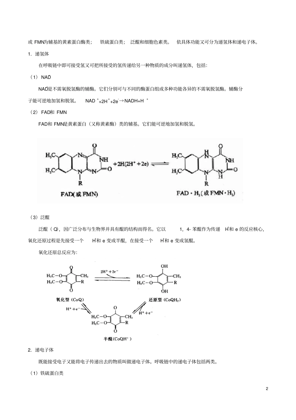 生物氧化讲义讲解_第2页