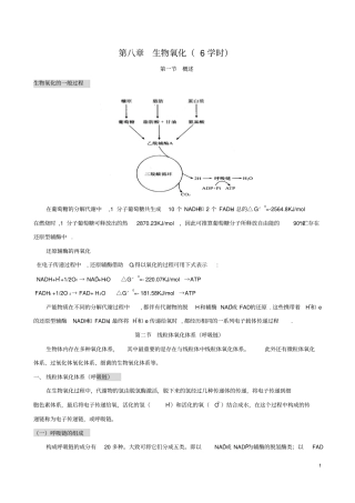 生物氧化讲义讲解