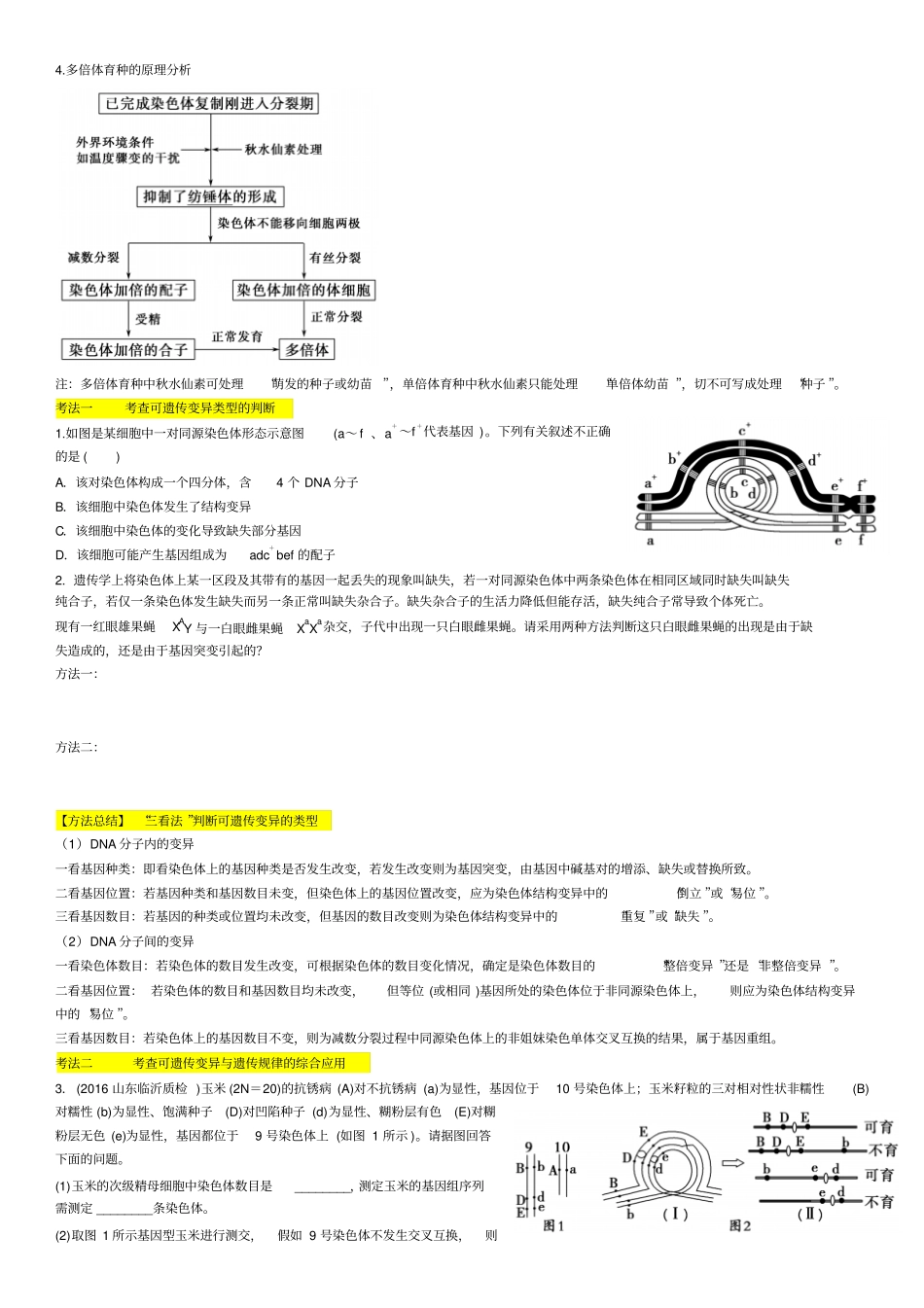 生物的变异、育种与进化汇总_第2页