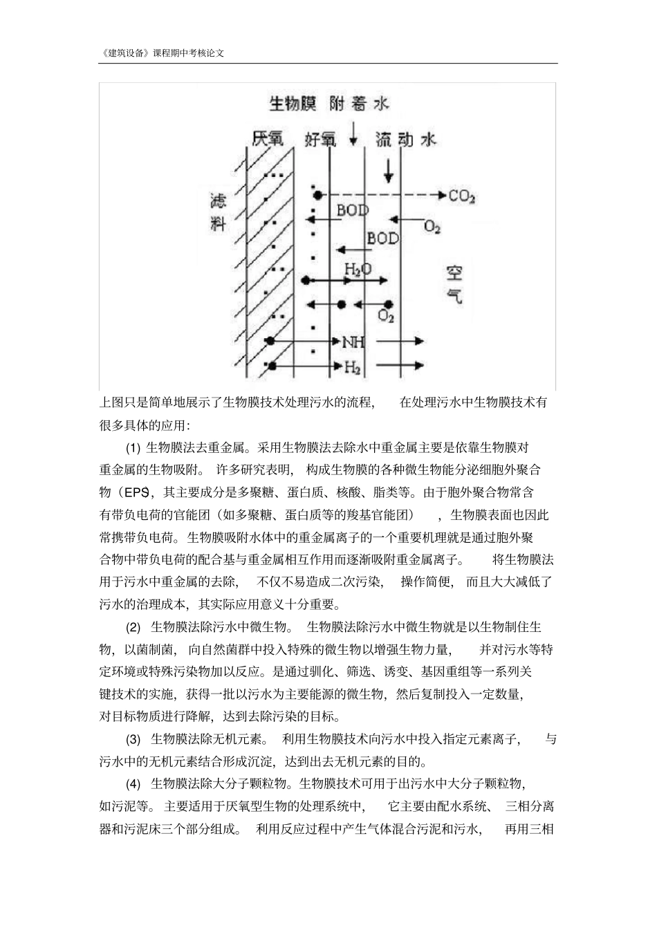 生物膜技术处理水污染_第2页