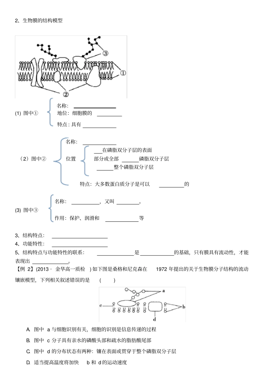生物膜导学案_第3页