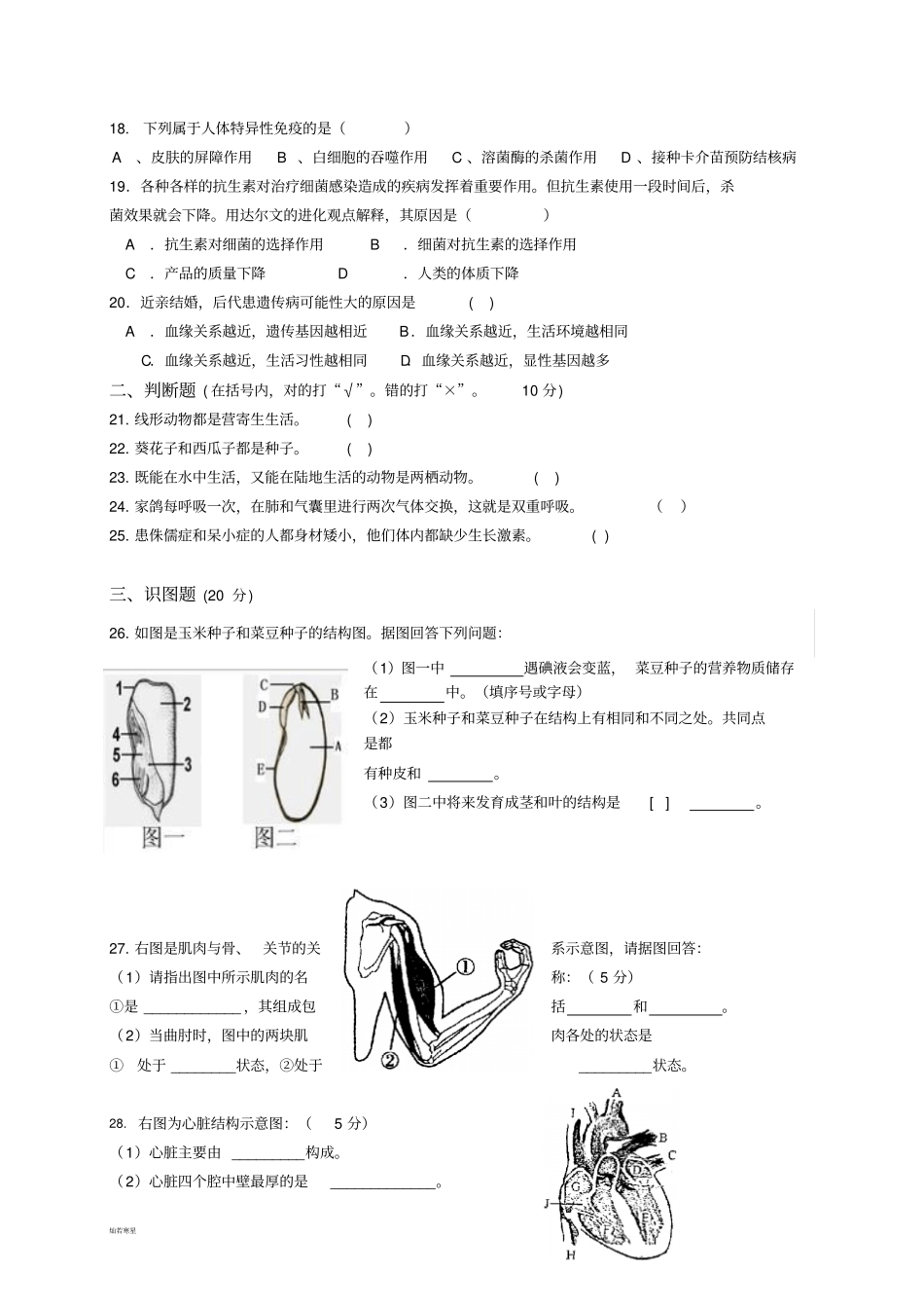 生物试卷第一次模拟考试试卷_第3页