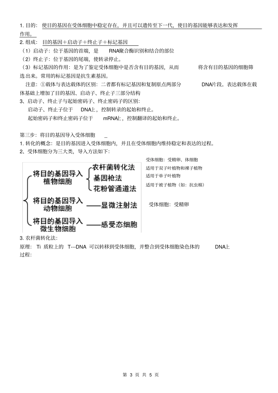 生物选修3专题一知识点详细_第3页