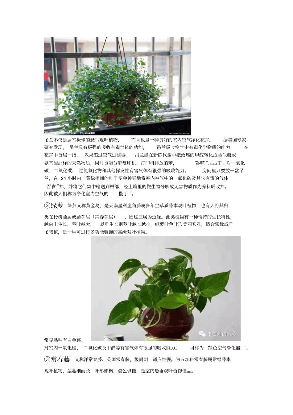 生物防污染植物种类与功能调查【现六班】分析_第2页