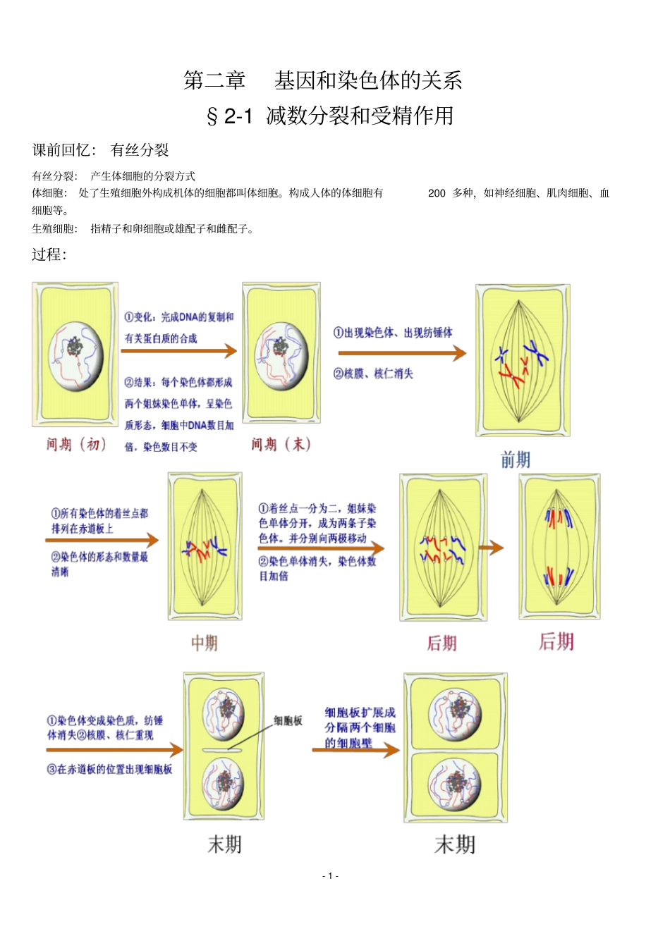 生物：1减数分裂和受精作用笔记总结_第1页
