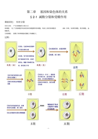 生物：1减数分裂和受精作用笔记总结