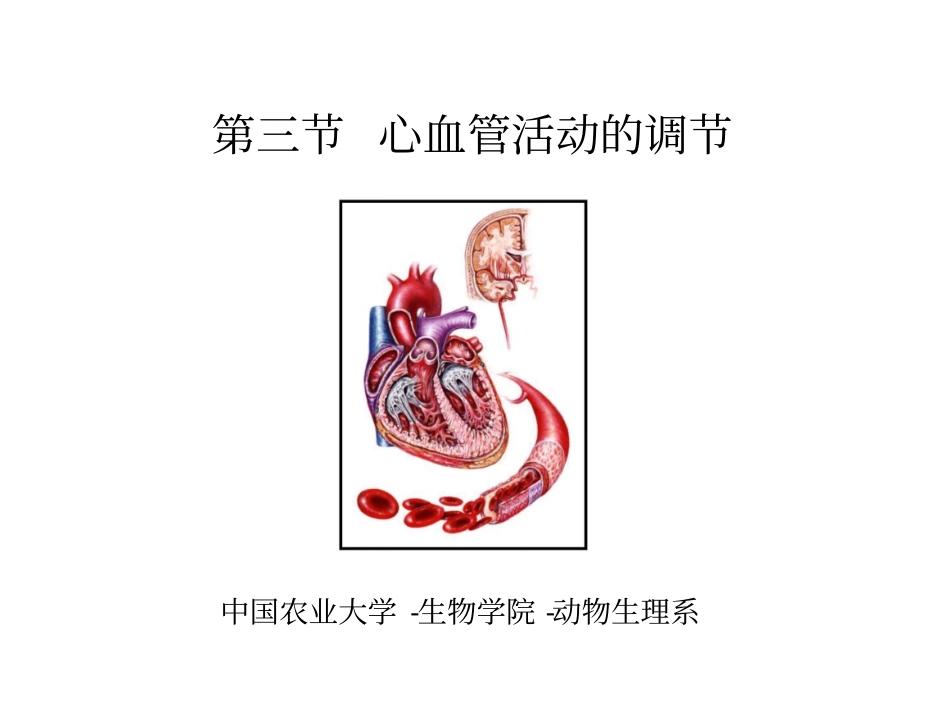 生理学-心血管活动的调节_第3页